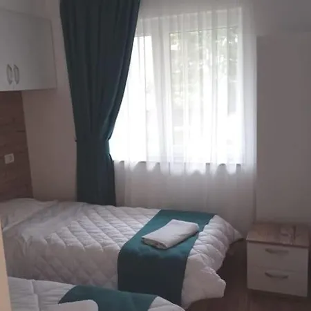 Apartment Cristina Borsa (Maramures)