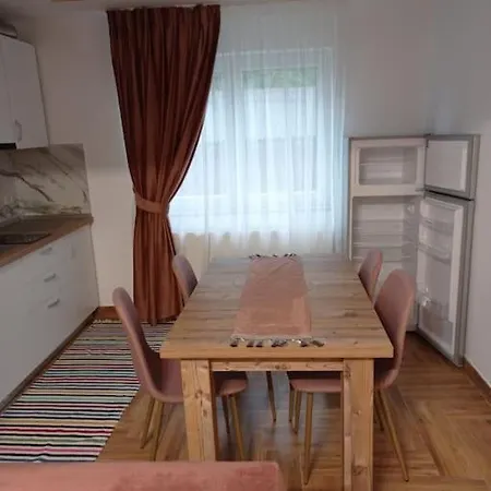 Cristina Apartment Borsa (Maramures)